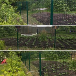 Сетка Гиттер 3D 3.8 мм. / цинк+ППК (H=1.7 м)